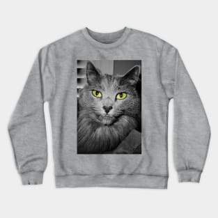 Stunning Green Eyed Cat Crewneck Sweatshirt